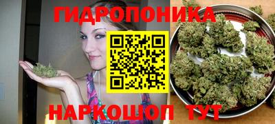a pvp Славгород